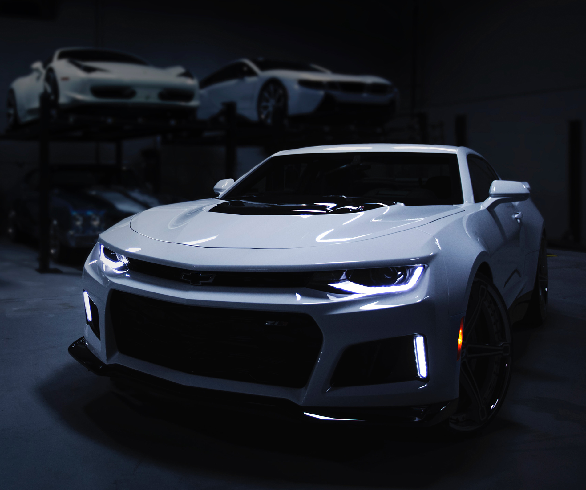 Unleashing At risus pretium urna tortor metus fringilla Unleashing At risus pretium urna tortor metus fringilla